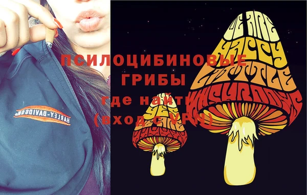 хмурый Алексин