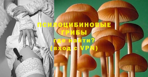 хмурый Алексин