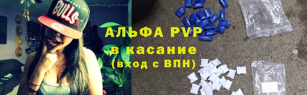 хмурый Алексин